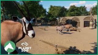 Gemsbok Habitat  Desert House  Elm Hill City Zoo  Planet Zoo [upl. by Gambrill]