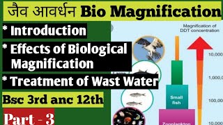 Bio Magnification जैव आवर्धन [upl. by Duwad]