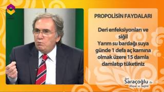 Prof Saraçoğlundan propolisin faydaları [upl. by Fanchie]