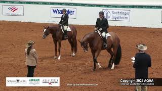 Working Hunter Under Saddle  2024 AQHA World Championship Show [upl. by Venterea]