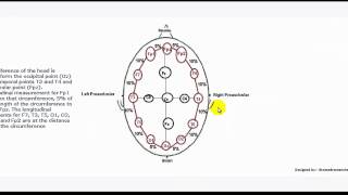 Which Side of Your Brain Dominates Take the Test braintest leftbrain rightbrain creativity [upl. by Ahsyla]