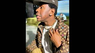 FREE TYLER THE CREATOR TYPE BEAT PHOTO SHOOT [upl. by Vevina706]