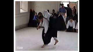 Aikido people training 2000 [upl. by Emera119]