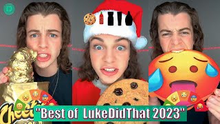 quotBest of LukeDidThat 2023quot TikTok Video Compilation  LukeDidThat TikTok Videos [upl. by Kinnard]