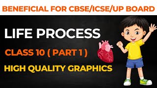 Life Processes  Class 10 Science part 1 [upl. by Suirtimed]