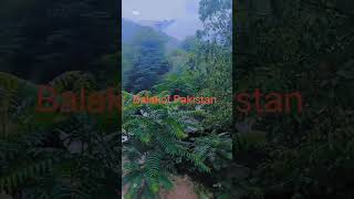 Balakot Pakistan nature beautiy nature amazingview travel wildview [upl. by Signe]