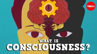 What is consciousness  Michael S A Graziano [upl. by Irual972]