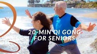 20Minute Gentle Qi Gong Exercise Routine for Seniors  Seated or Standing [upl. by Ayotol]