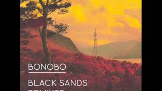 Bonobo  Ghost Ship Version 2012 [upl. by Wickner677]