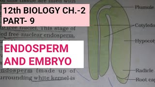 Class 12 biology chapter2Part9post fertilisationstructures and eventsStudy with farru [upl. by Joli]