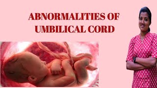 abnormalities of umbilical cord OBG nursingwhiteknight corps Umbilical cord abnormalities [upl. by Ailongam]