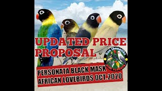 UPDATED PRICE PROPOSAL OF PERSONATA BLACKMASK AFRICAN LOVEBIRDS OCT 2020 [upl. by Namara672]