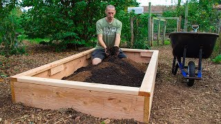 How to Build a Raised Bed CHEAP and EASY Backyard Gardening [upl. by Adnek]