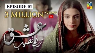 Ishq Zahe Naseeb Episode 01 HUM TV Drama 21 June 2019 [upl. by Htebizile]