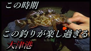 【大津港釣り】簡単な仕掛けで沢山の魚達と出会える楽しい釣り！是非やてみて下さい。 [upl. by Lavern]