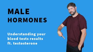 Testosterone blood test explained and your other male hormones [upl. by Lynnet]