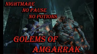 Dragon Age Origins Golems of Amgarrak FULL Playthrough WAR MAGENightmare No pause No potions [upl. by Dombrowski]