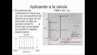 Biofísica Fuerza impulsora FEM [upl. by Kjersti]