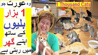 Woman lives with 1000 Cats  Story of  The Cat Lady [upl. by Sices753]