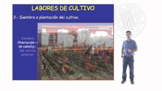 Labores de cultivo   UPV [upl. by Maddox]