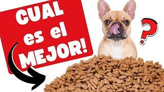 🔴Cual es el Mejor Alimento para Perros 2022 ⏩Hoy Analizamos a Purina BENEFUL✅ Jose Arca Veterinario [upl. by Vitale]