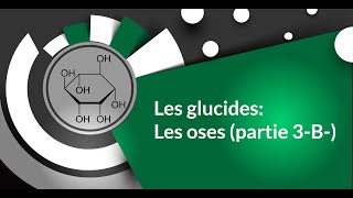 Les glucides Les oses partie 3B [upl. by Shieh788]