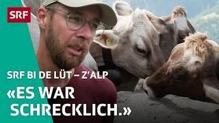 Tödlicher Kuhsturz bei Familie Weirich Porath  ZAlp – SRF bi de Lüt  2024 – 34  SRF [upl. by Namyh]