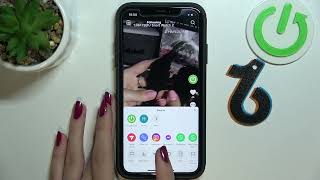 How to Copy Link On TikTok  Copy TikTok Video URL [upl. by Avlis]