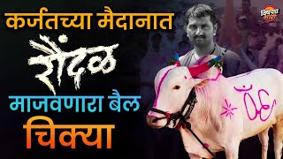 कर्जतच्या मैदानावर रौंदळ माजवणारा चिक्या बैल  Chikya Bail  Bailgada Sharyat  VIshaych Bhari [upl. by Bergen675]