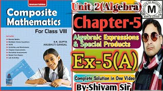 Class8MathsChapter5Algebraic Expressions amp Special Products Ex5AByShivam Sirtiwariclasses [upl. by Haas]