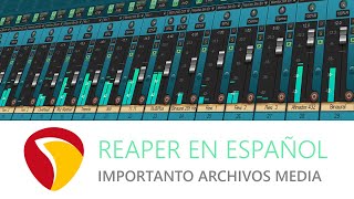 Importando Archivos Media Solución a Problemas  TUTORIAL REAPER  Video A Temporal [upl. by Gittel411]