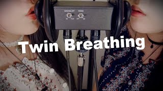 ASMR Twin Breathing amp Ear Blowing with Inhaling 😂 [upl. by Eelarak]