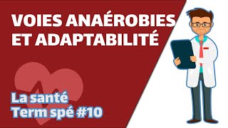 Voies anaérobies et adaptabilité  SVT  SANTÉ Term spé 10  Mathrix [upl. by Stephen238]