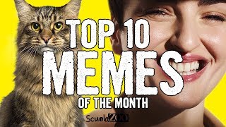 TOP 10 VIDEO MEME del MESE 13  ScuolaZoo [upl. by Garlaand]