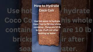 🌺How to Hydrate 10 lbs of Coco Coirshorts [upl. by Cooper]