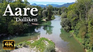 Aare Dulliken Switzerland 4K 🌊☀️ [upl. by Amice]