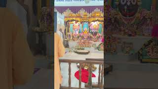 janganana Darshan haiiskcon rajapur jagannath mahapaur poori daam hare Krishna karta hai ￼￼￼￼￼ [upl. by Divadnhoj441]