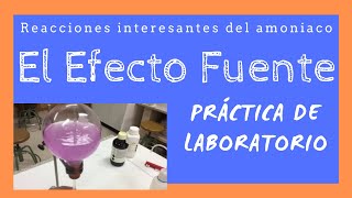 Propiedades Del Amoniaco Efecto Fuente Práctica de laboratorio completa [upl. by Ytissahc370]