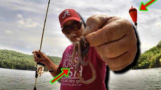 SIMPLE Way To Catch Catfish With WORMS amp BOBBER [upl. by Bj]