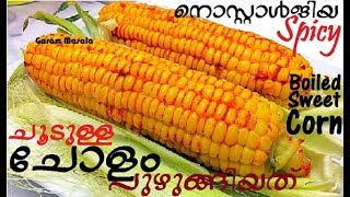 തണുപ്പത്തു നല്ലചൂടുള്ള ചോളം പുഴുങ്ങിയത് Spicy Boiled Sweet Corn on the Cob Delicious Street Food [upl. by Enela]