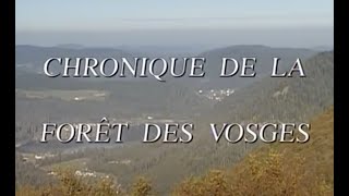 CHRONIQUE DE LA FORÊT DES VOSGES version courte 56 199495 [upl. by Ogawa]