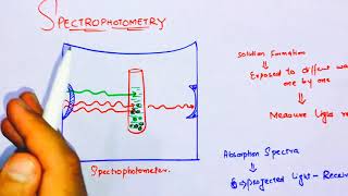 SpectrophotometerSpectrophotometry class 11 [upl. by Elephus]