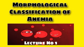 Morphological Classification of Anemia [upl. by Pratte]