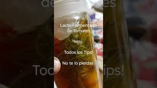 LactoFermentados TOMATES [upl. by Georgianne122]