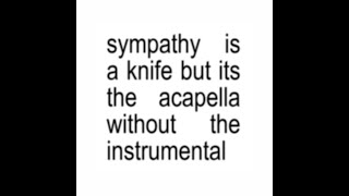 Sympathy is a Knife Filtered Acapella  Charli XCX [upl. by Nilahs]