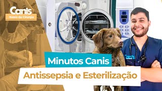 Antissepsia e Esterilização  Minutos Canis  Bases da Cirurgia [upl. by Nicodemus707]