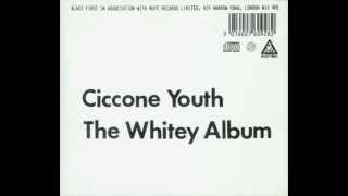 Ciccone Youth  Addicted to Love [upl. by Ziladnerb]