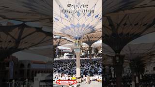 Haram Plaza Umbrellas Saudi Arabia ll Telugu Facts ll TOT FACTS [upl. by Lrem980]