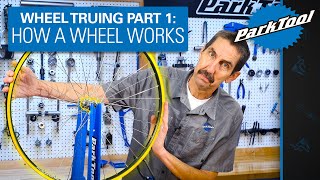 How to True a Wheel Part 1 How a Wheel Works [upl. by Yaker]