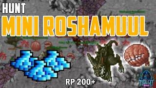 Hunt RP 200 Mini Roshamuul  Boquinha Feyrist [upl. by Ylirama]